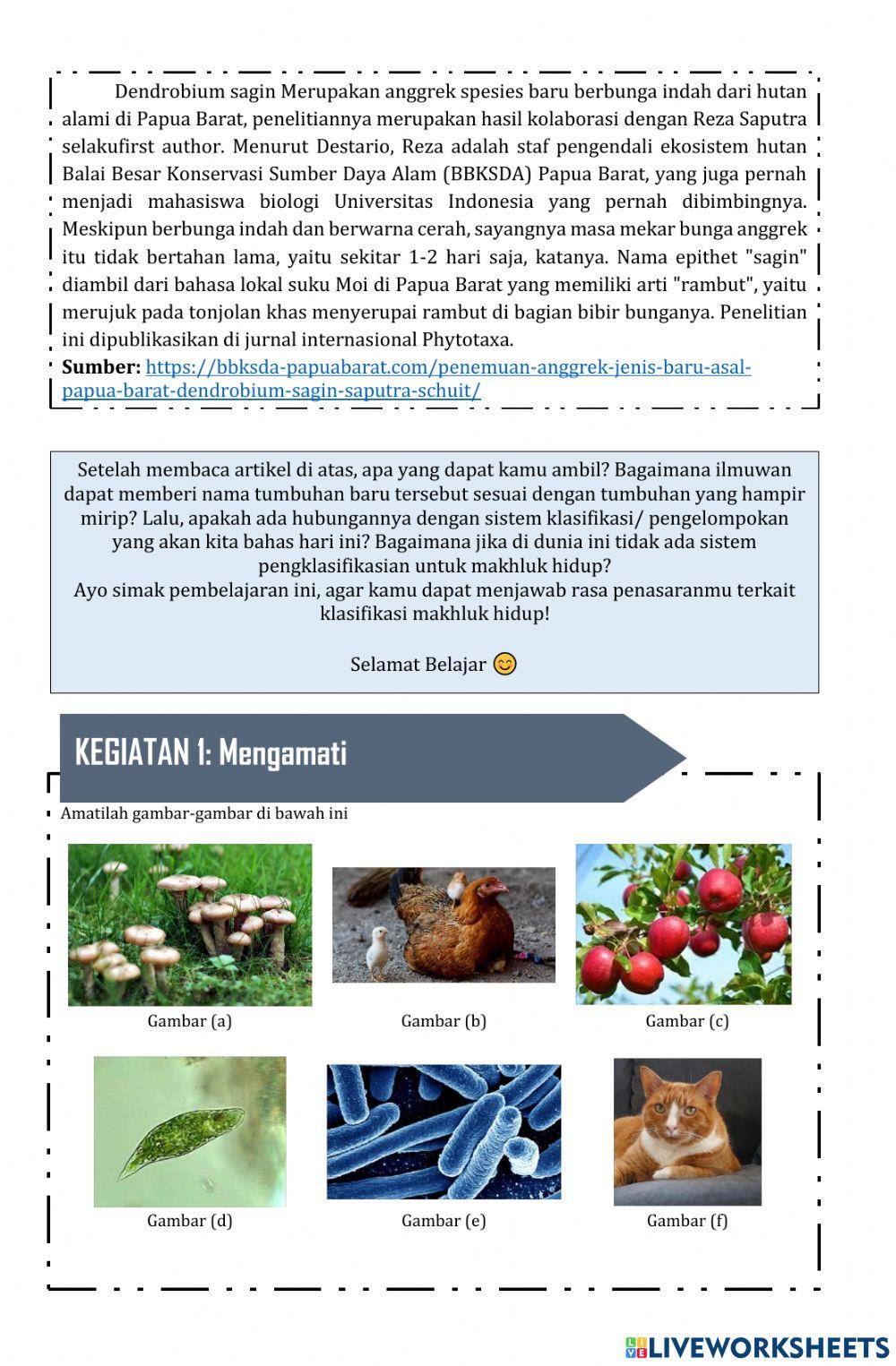 Klasifikasi Makhluk Hidup (P2)