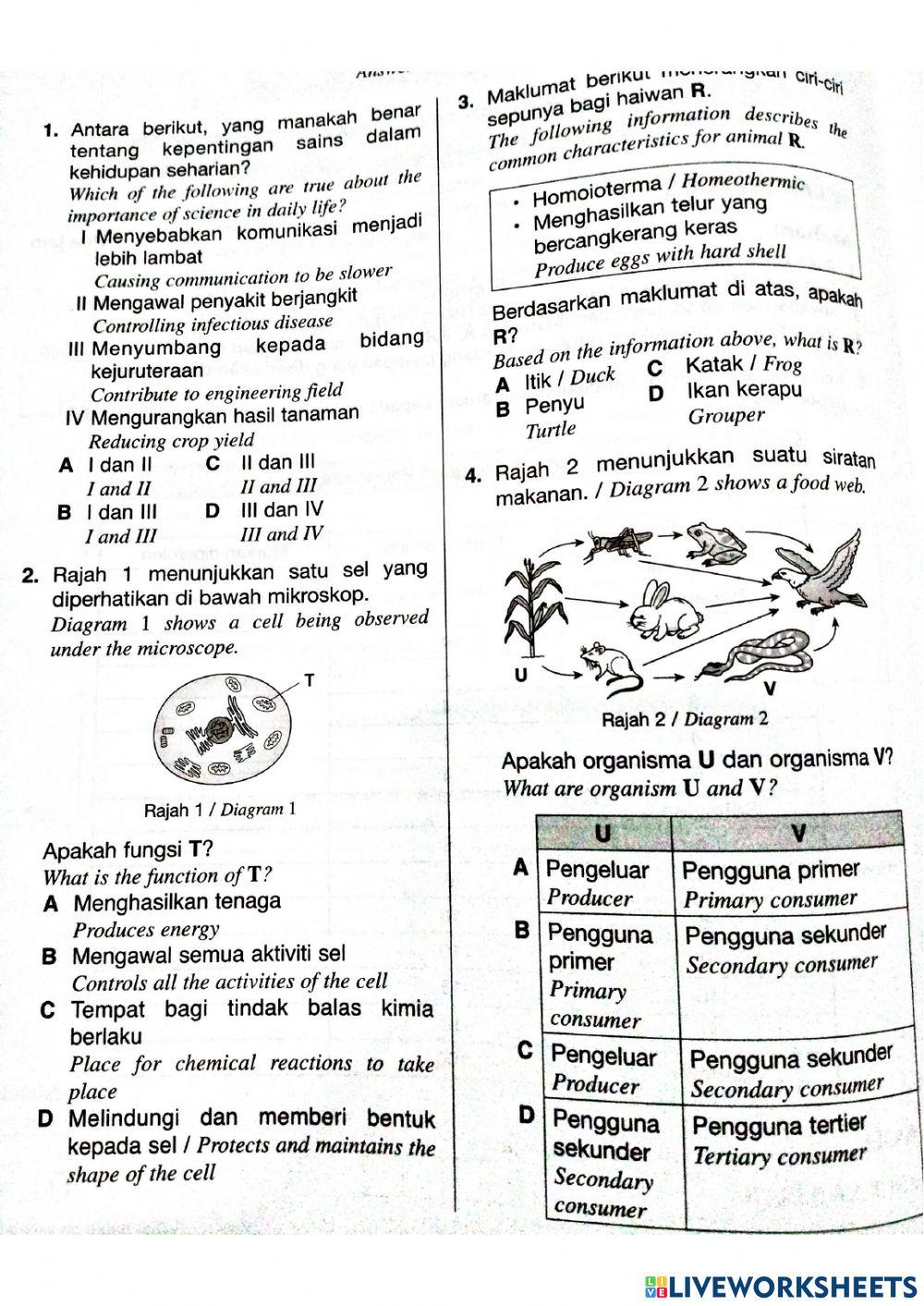 Latihan ulangkaji