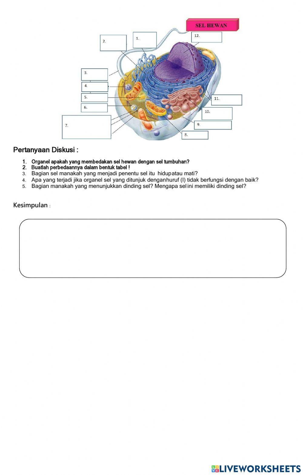 Struktur sel hewan dan sel tumbuhan