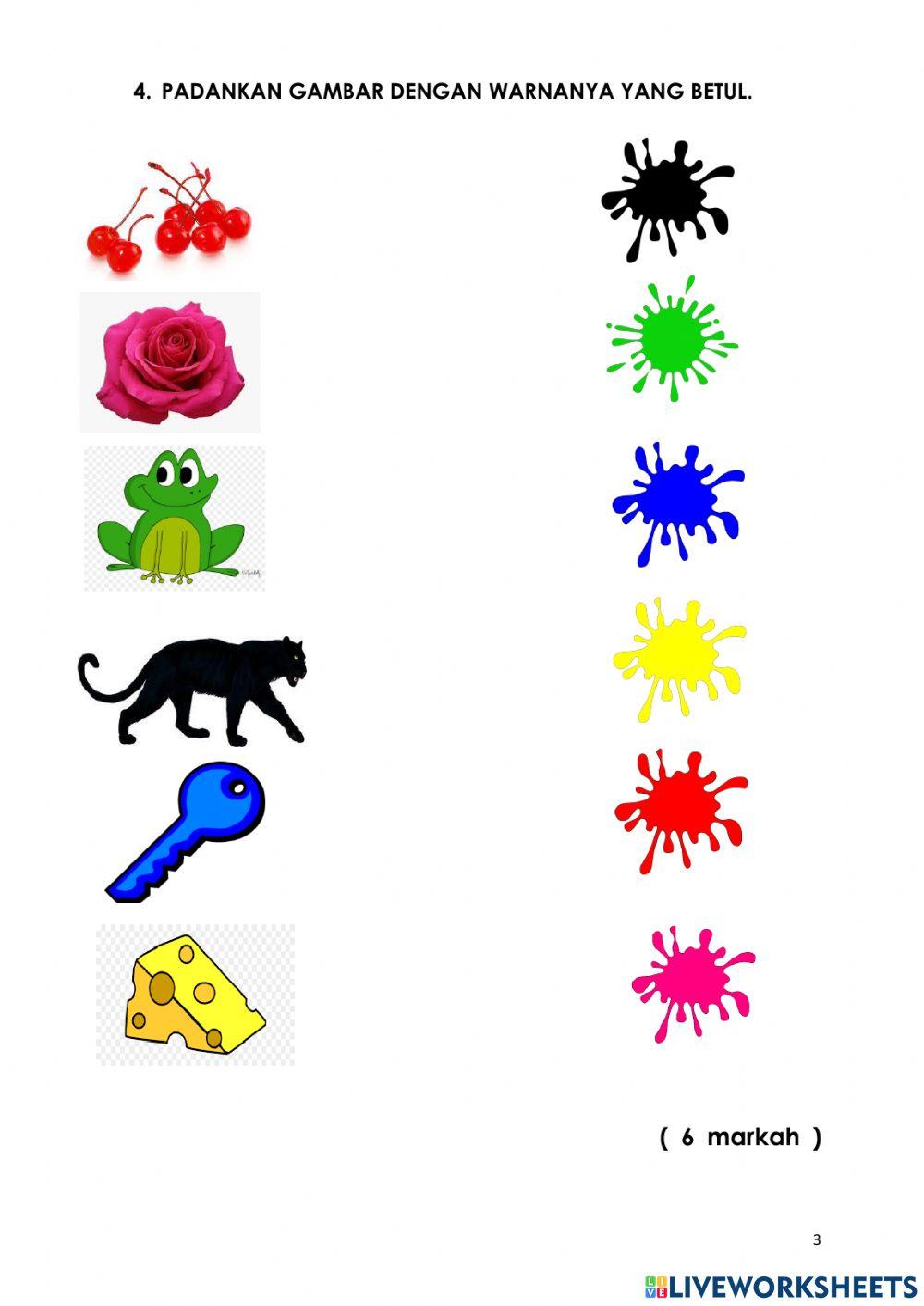 Peperiksaan kemahiran manipulatif