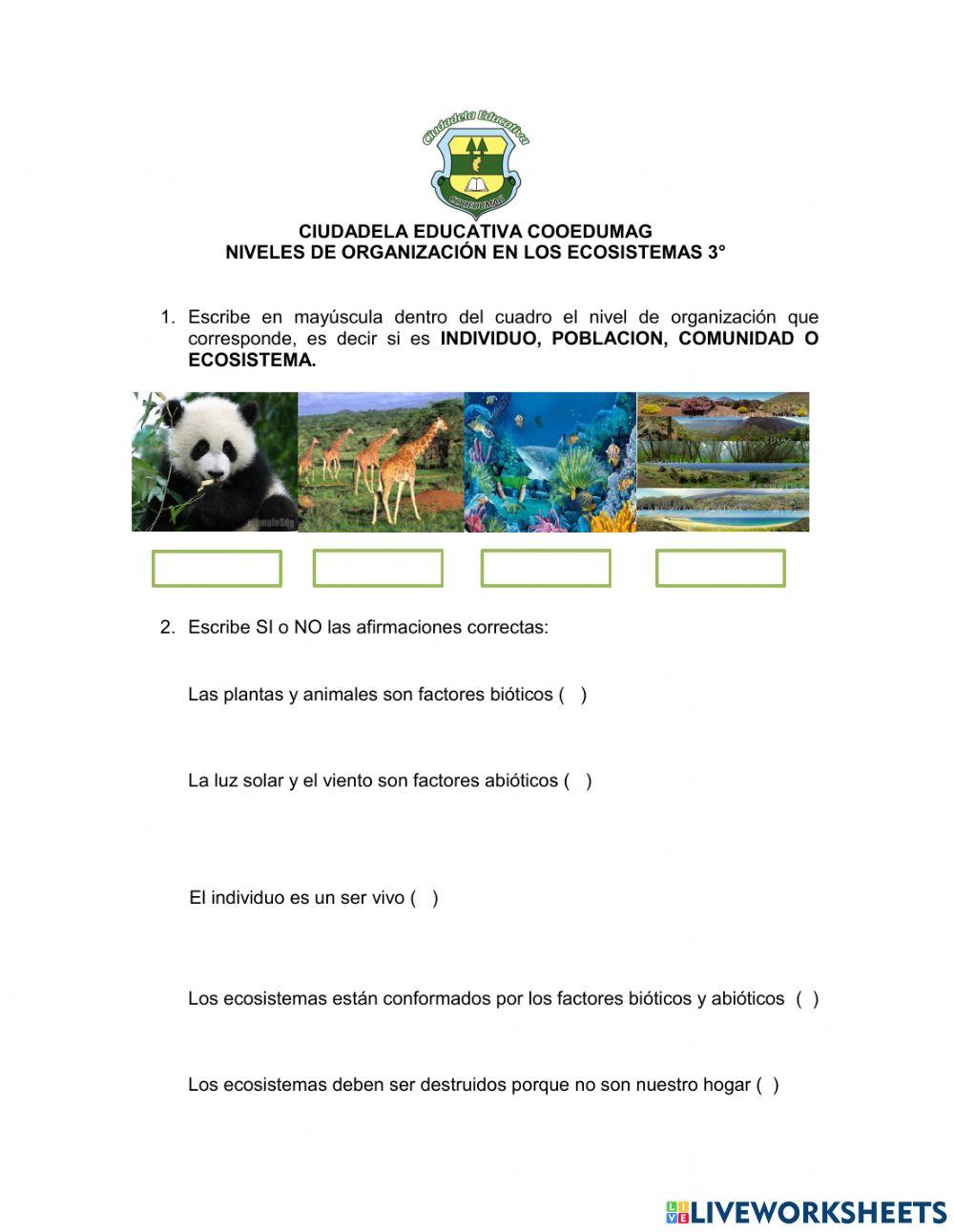 Organizacion de los ecosistemas