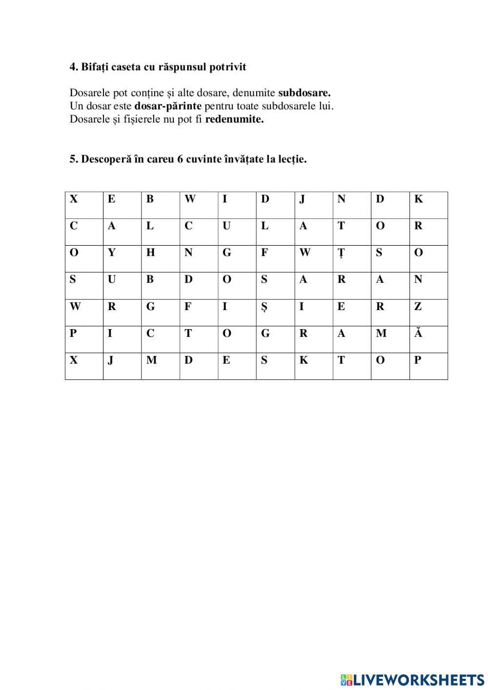 Fișă de lucru la Educația digitală, cl.3 Subiectul:Organizarea datelor pe calculator