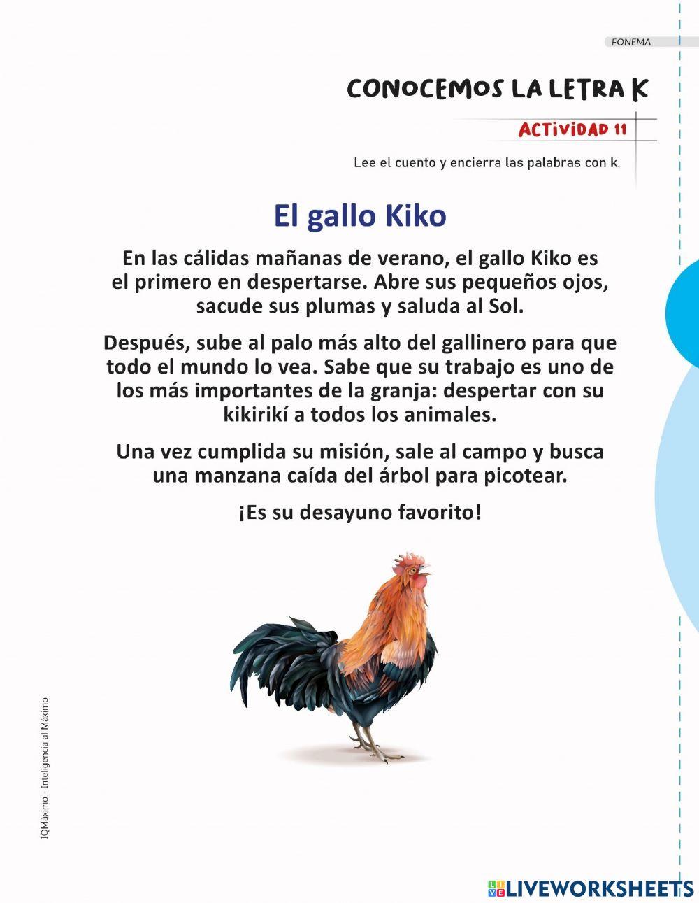 Actividad 11 letra k