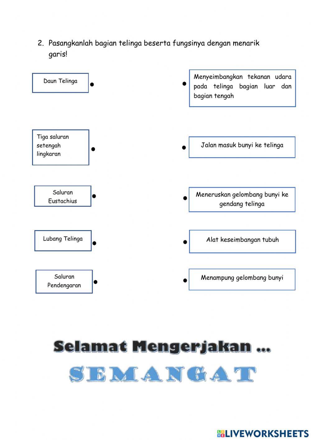 Latihan Soal Indra Pendengar