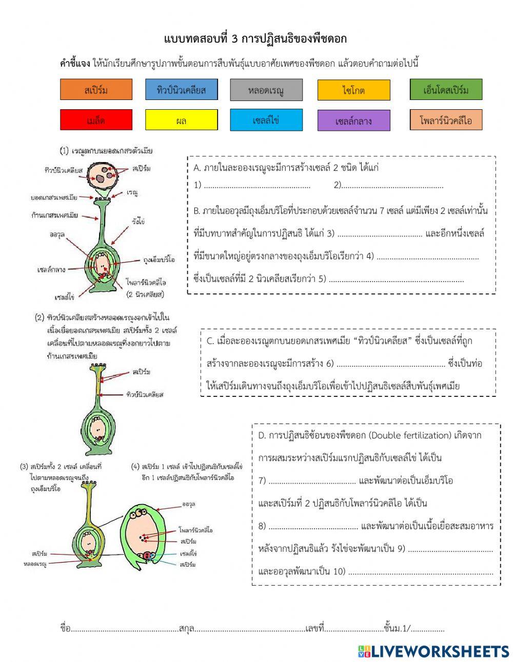 การสืบพันธุ์ของพืชดอก