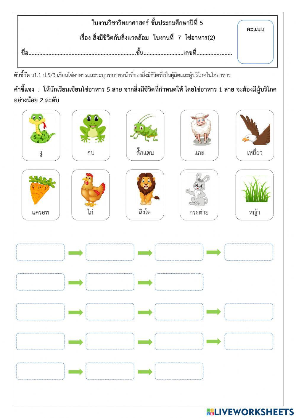 ใบงาน 7 เรื่อง โซ่อาหาร (2)