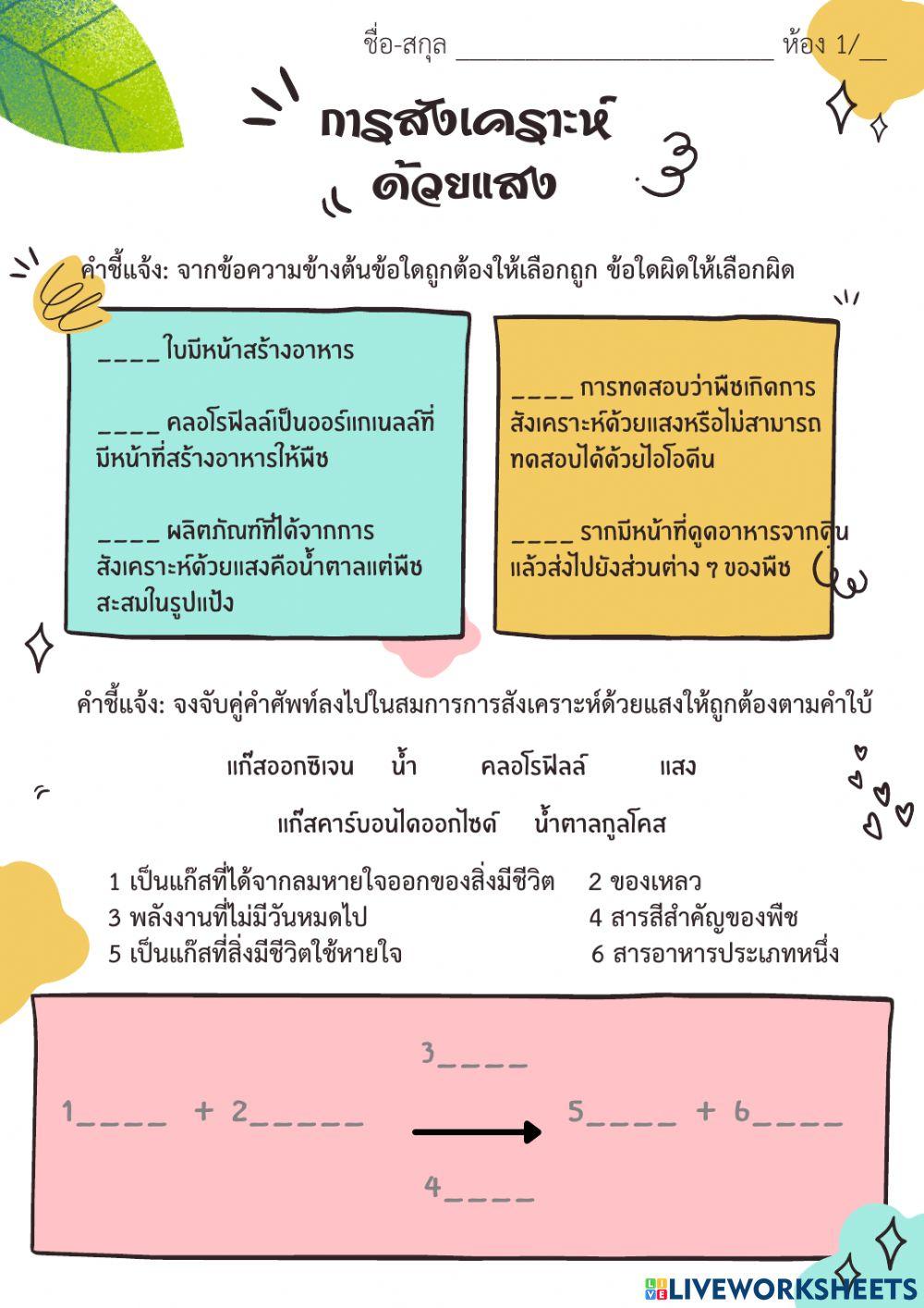 การสังเคราะห์ด้วยแสง