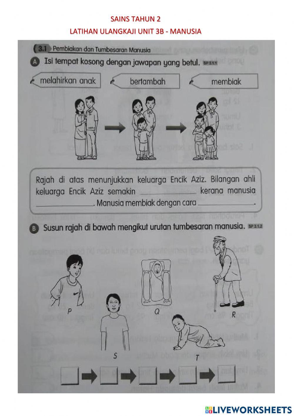 Latihan ulangkaji unit 3b-manusia Latihan ulangkaji unit 3b-manusia