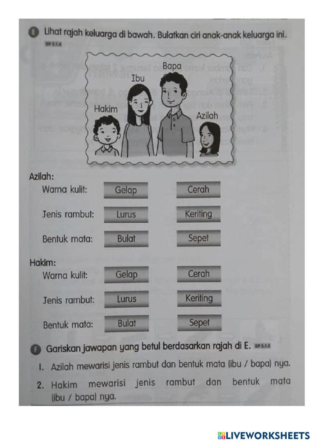 Latihan ulangkaji unit 3b-manusia Latihan ulangkaji unit 3b-manusia