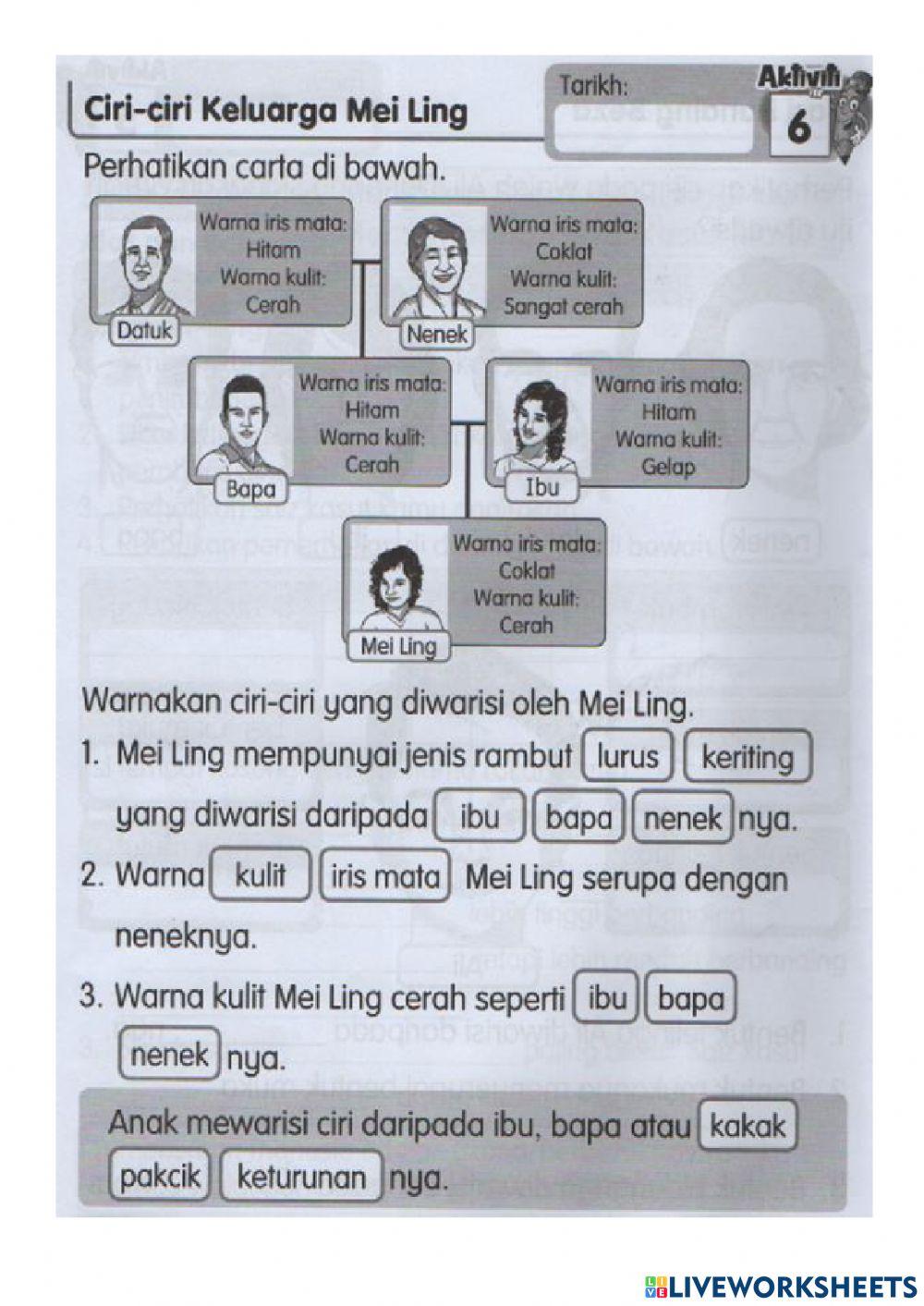 Latihan ulangkaji unit 3b-manusia Latihan ulangkaji unit 3b-manusia