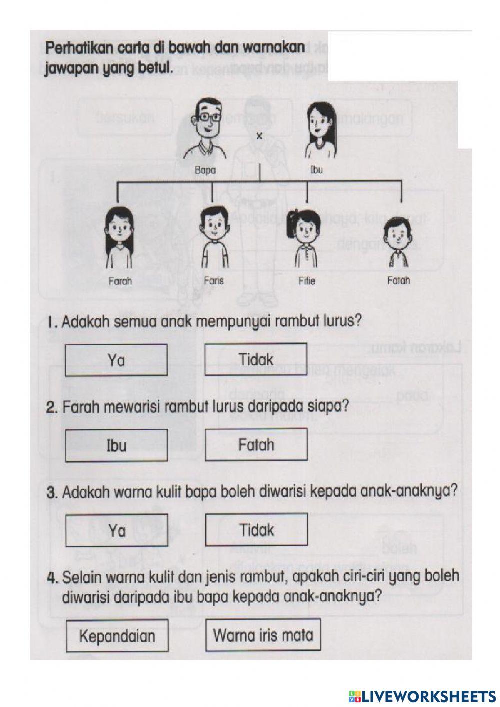 Latihan ulangkaji unit 3b-manusia Latihan ulangkaji unit 3b-manusia