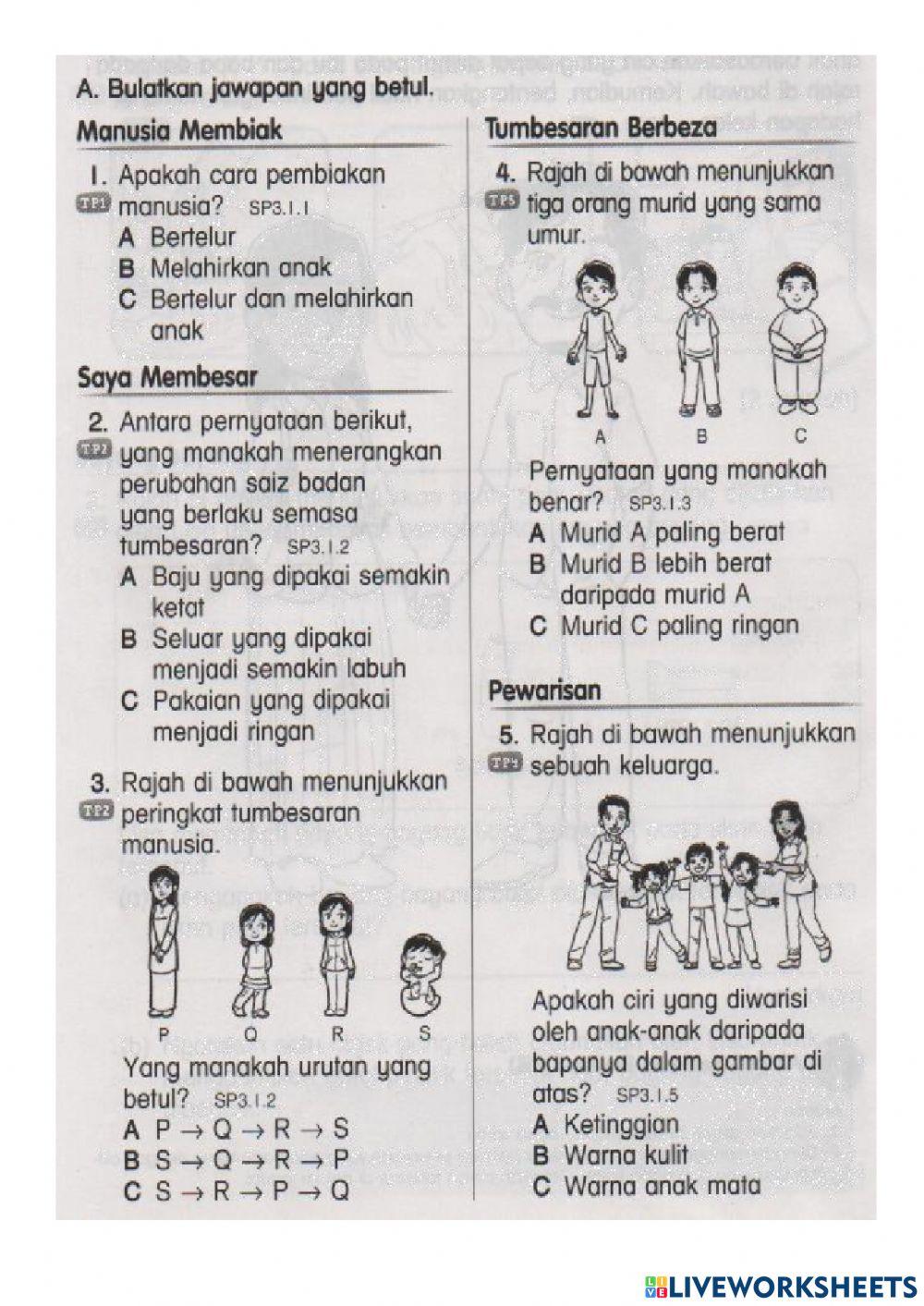 Latihan ulangkaji unit 3b-manusia Latihan ulangkaji unit 3b-manusia