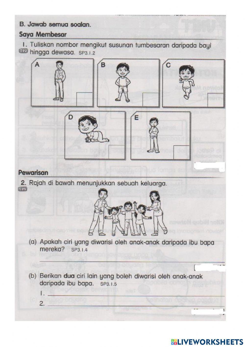 Latihan ulangkaji unit 3b-manusia Latihan ulangkaji unit 3b-manusia