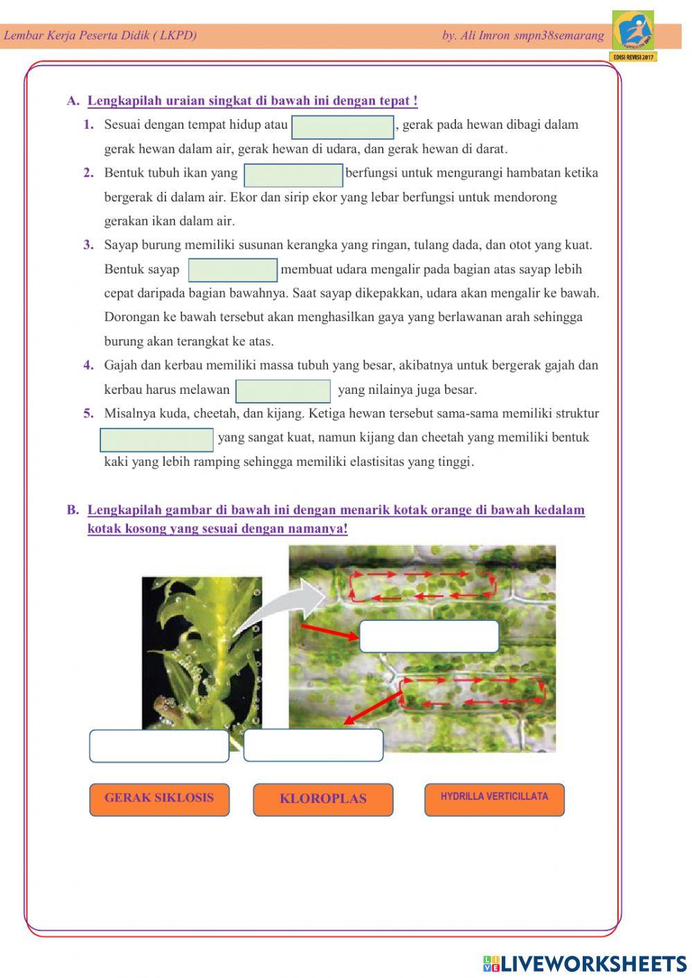 Lkpd Gerak Hewan dan Tumbuhan