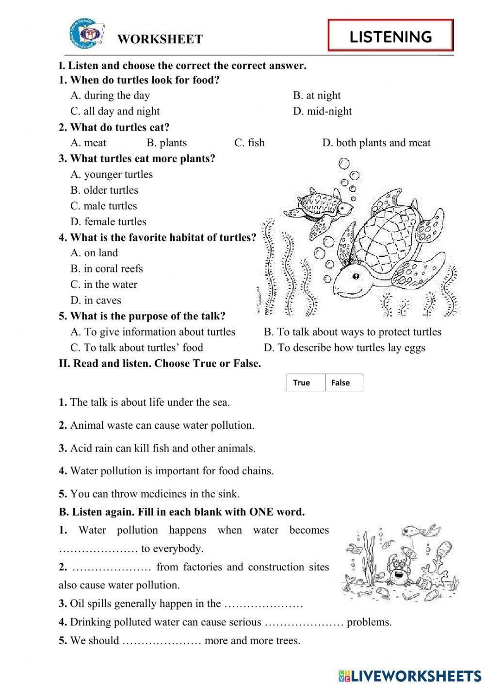 Listening1 - Sea turle +Water Pollution