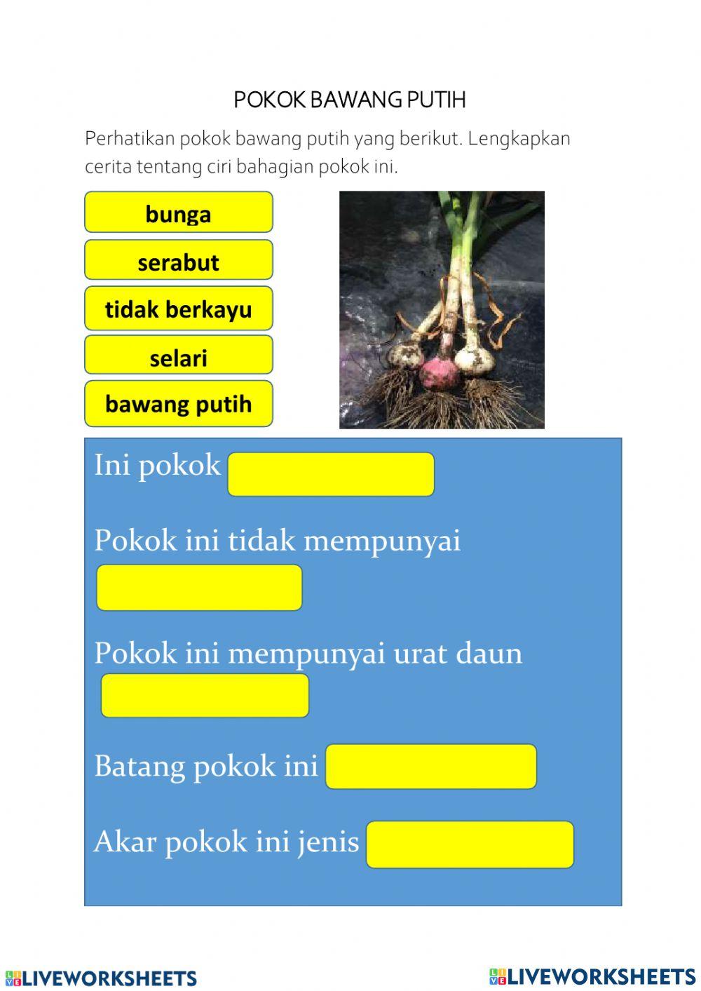 Kepentingan bahagian tumbuhan