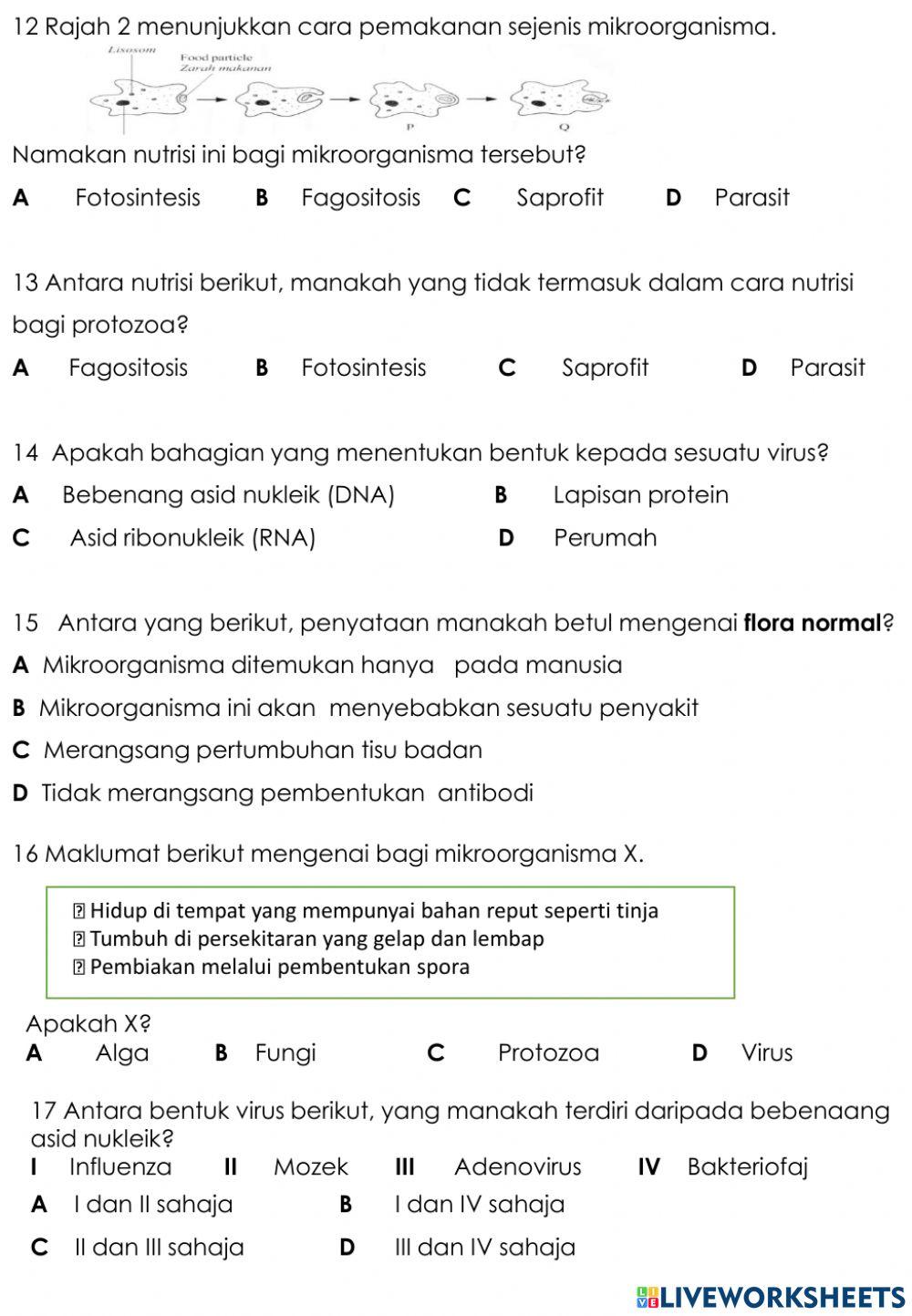Pengelasan mikroorganisma