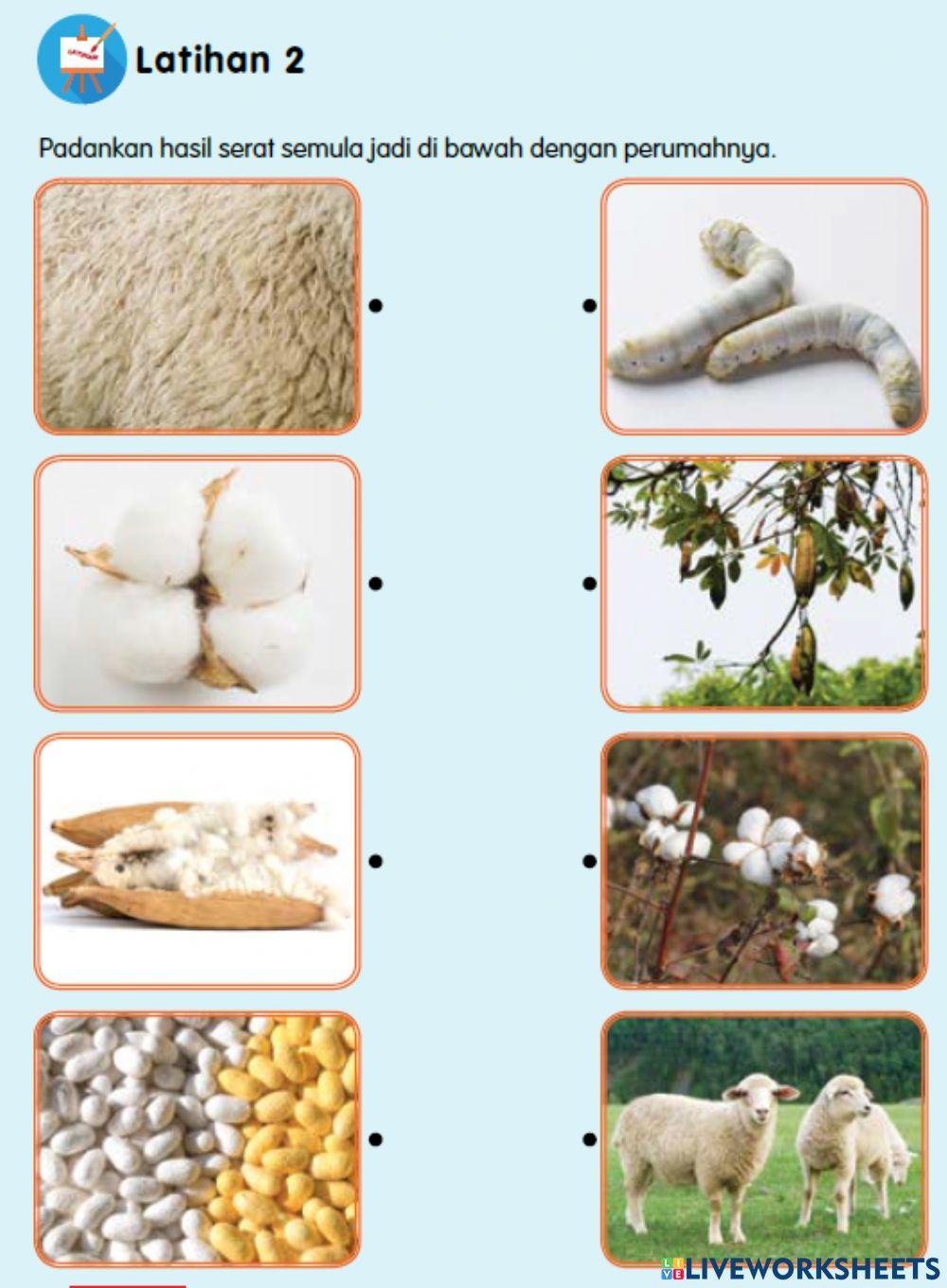 Seni serat dan tekstil