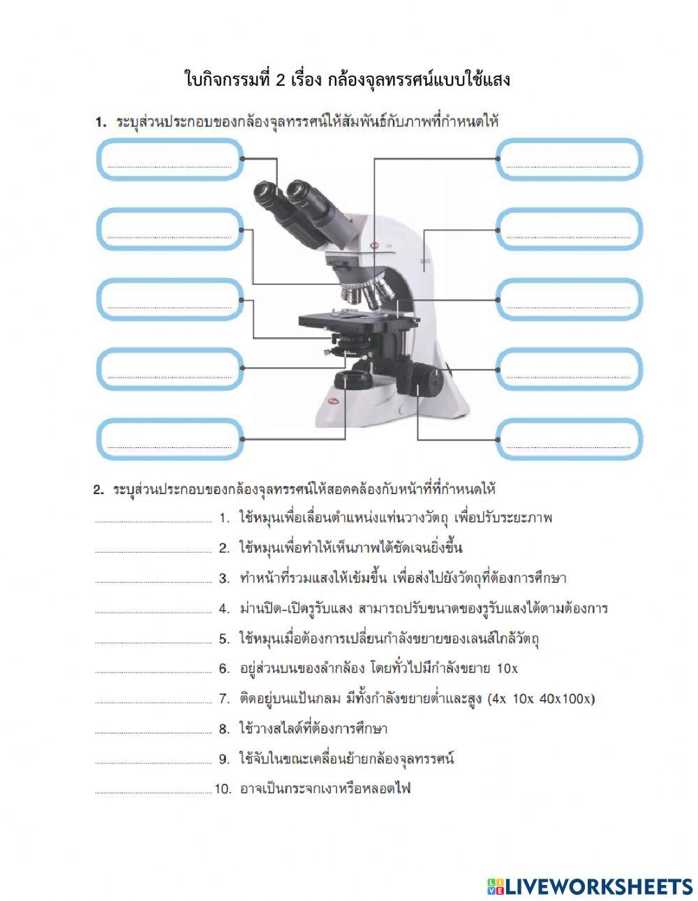ใบกิจกรรมเซลล์และกล้องจุลทรรศน์