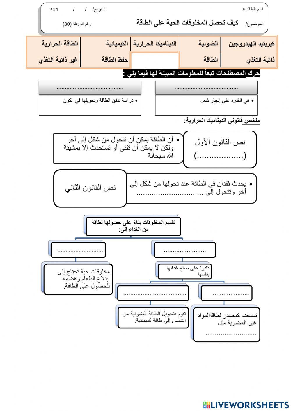 ورقة 30تفاعلية3