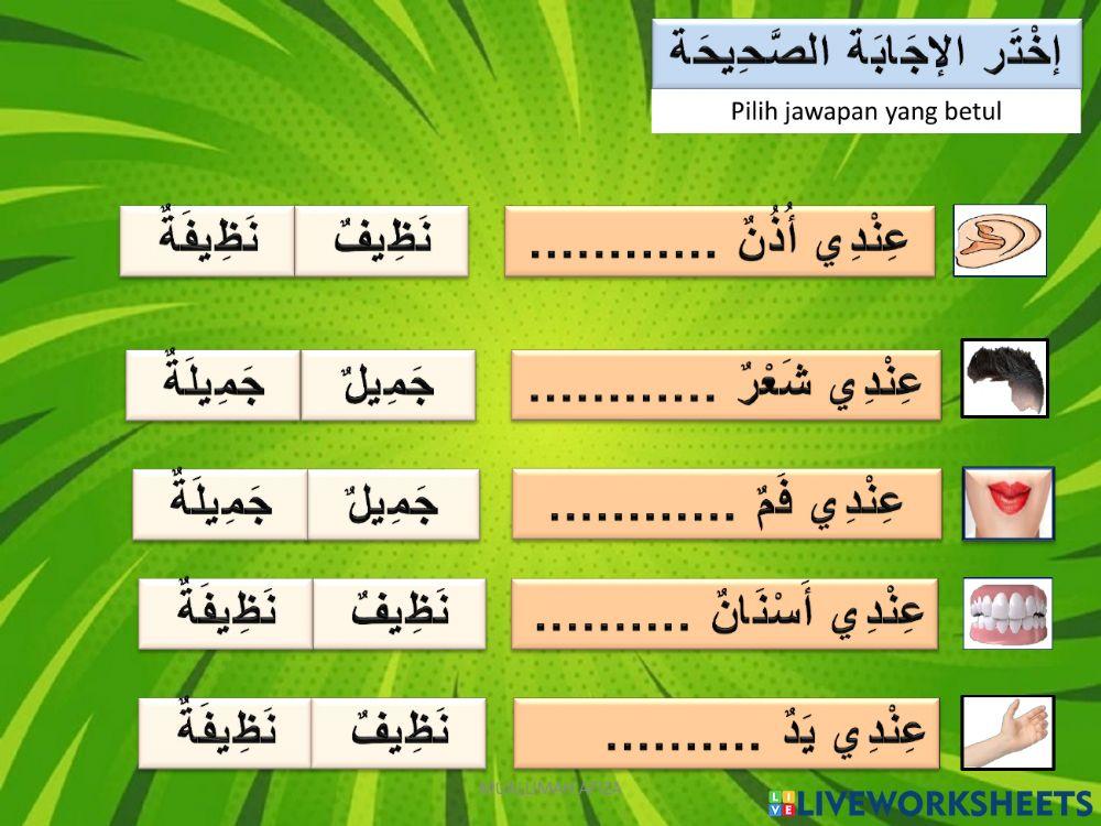 Bahasa arab tahun 2 ( anggota badan )