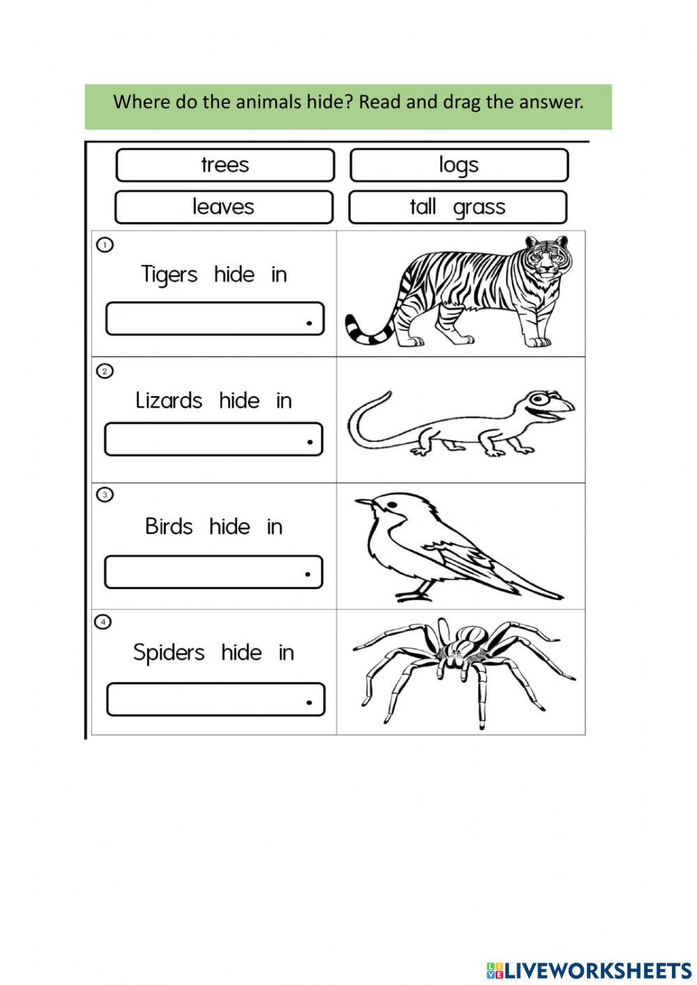 Unit 3 Pet Show ( Do - Does + Revision )