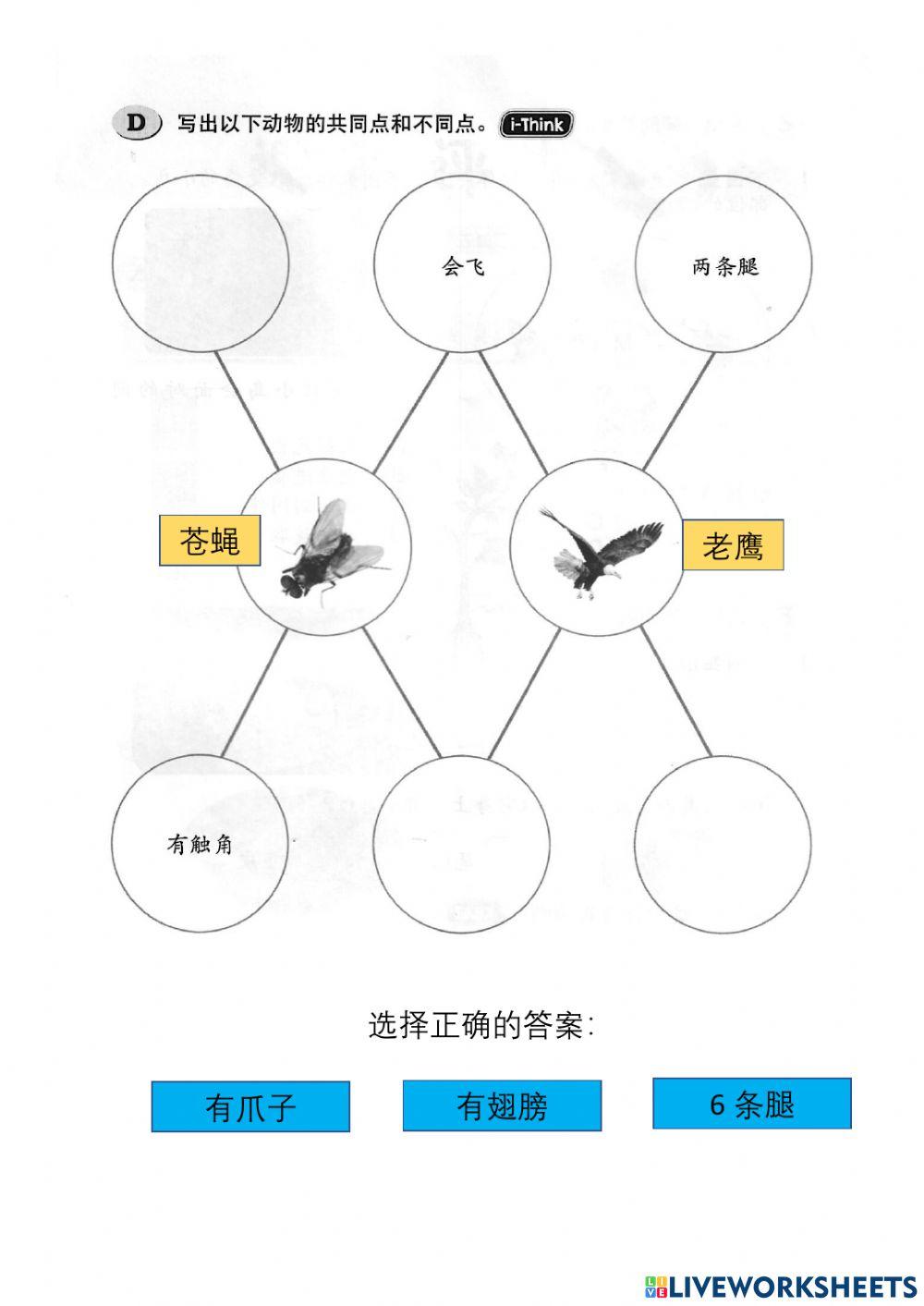 一年级科学复习（动物）