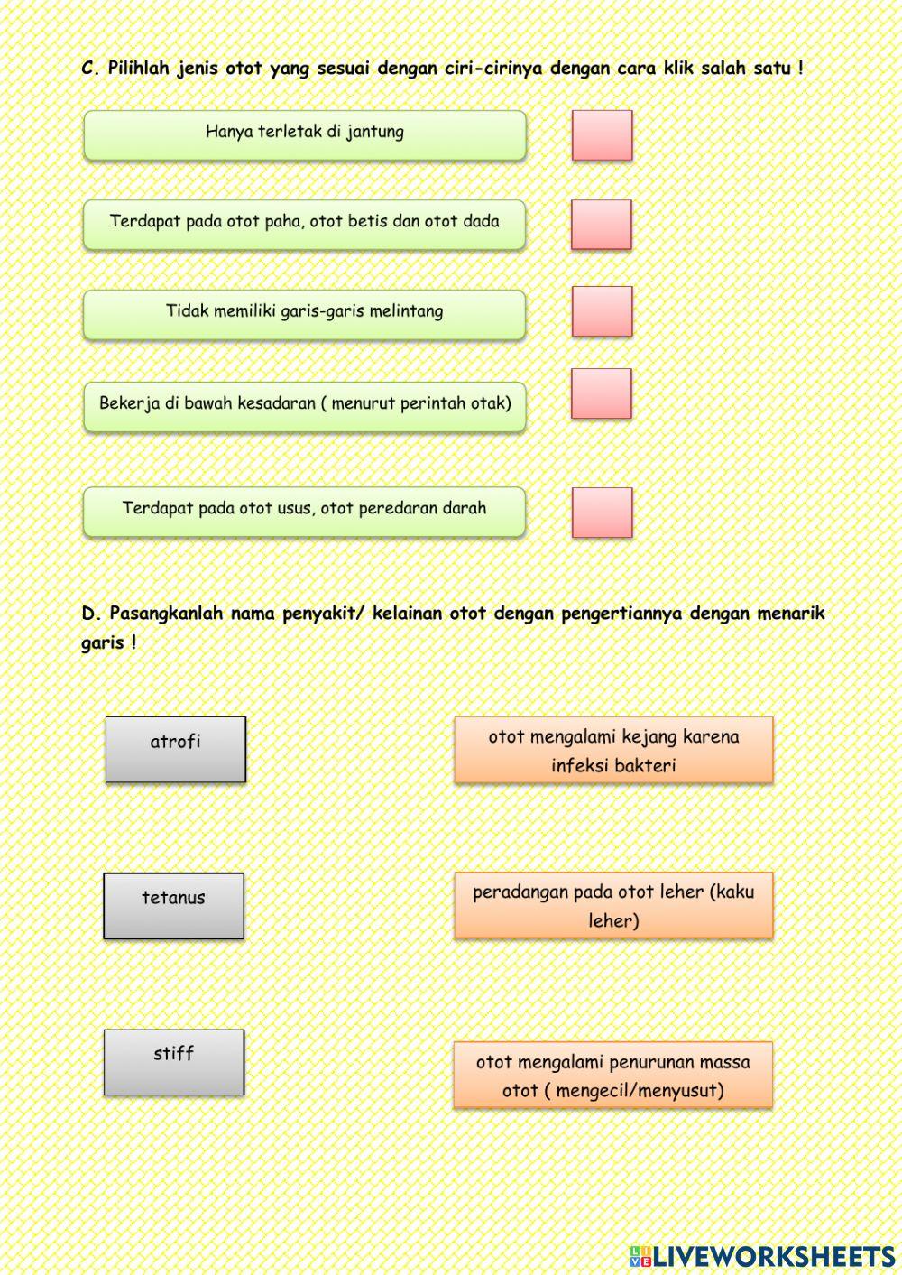 Sendi dan Otot Pada Manusia