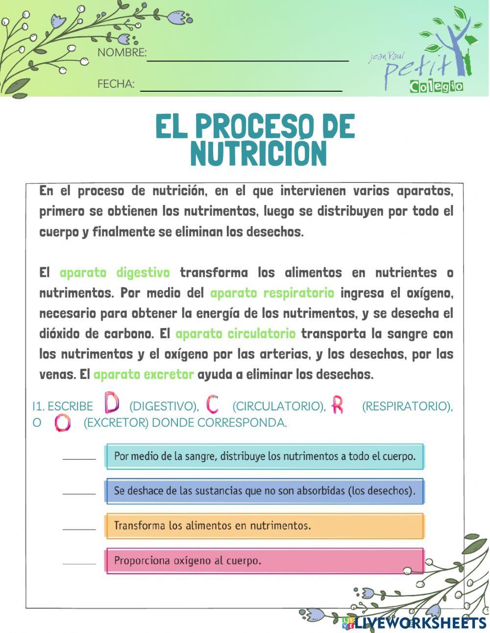 El proceso de nutrición