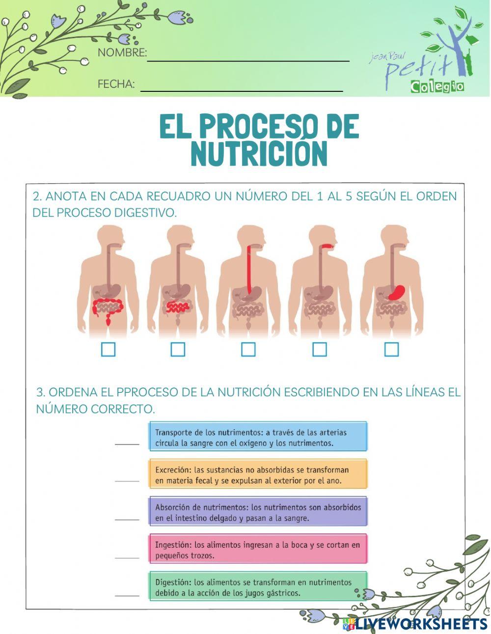 El proceso de nutrición