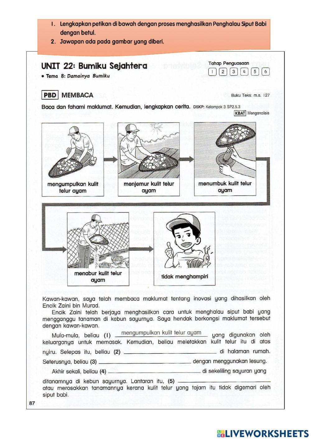 Kelas bahasa melayu 6 aman