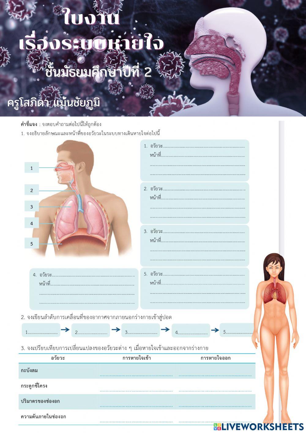 ระบบหายใจ