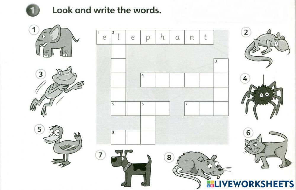 SUPER MINDS Unit 3: Pet Show