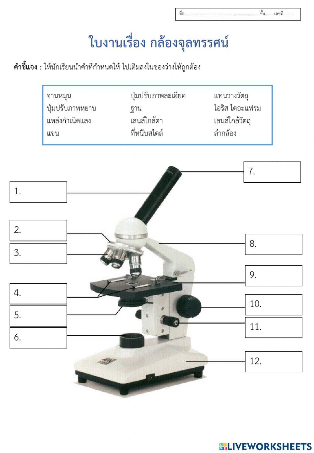 แบบฝึกหัดเรื่อง กล้องจุลทรรศน์(ม.4)