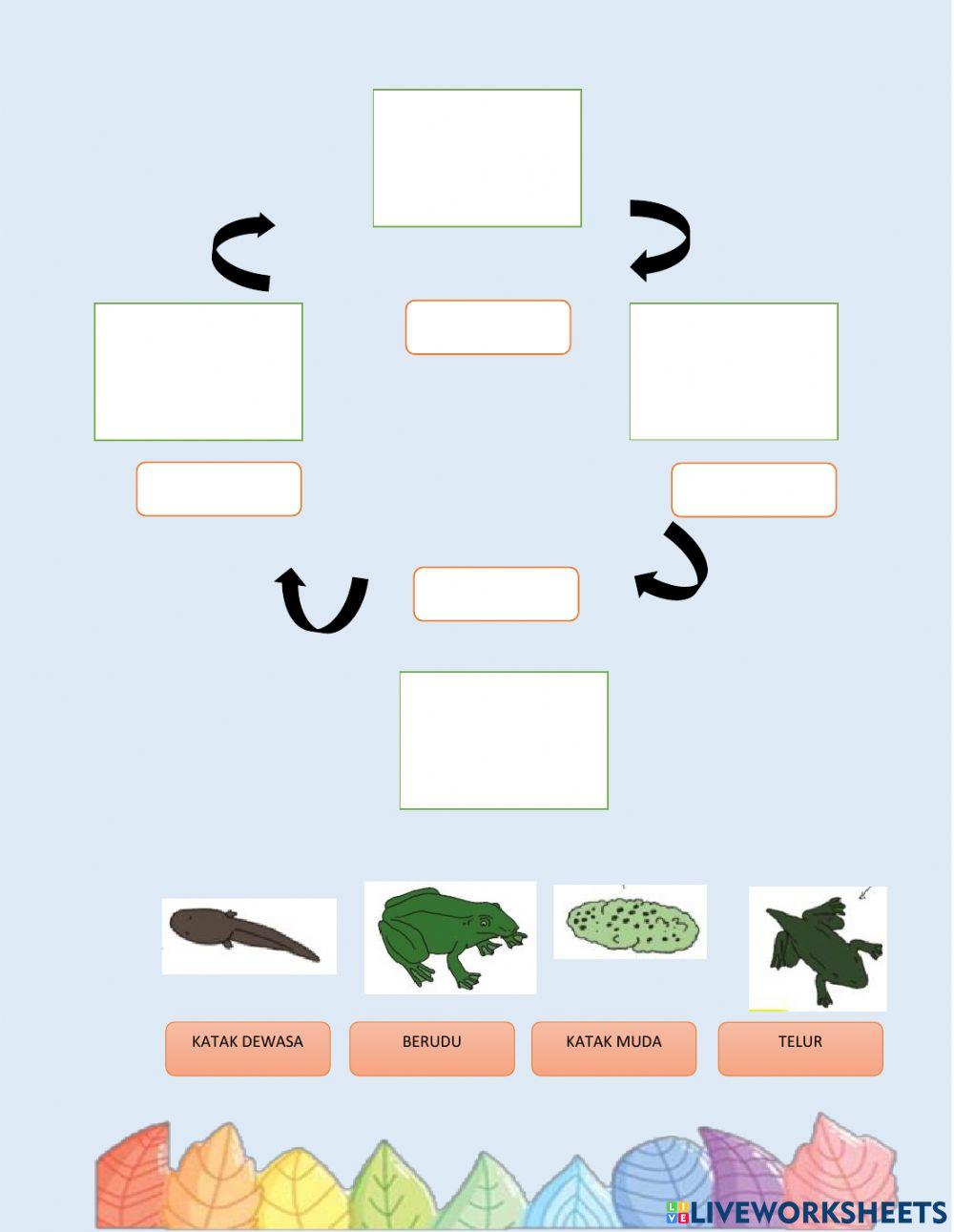 Lembar Kerja Peserta Didik