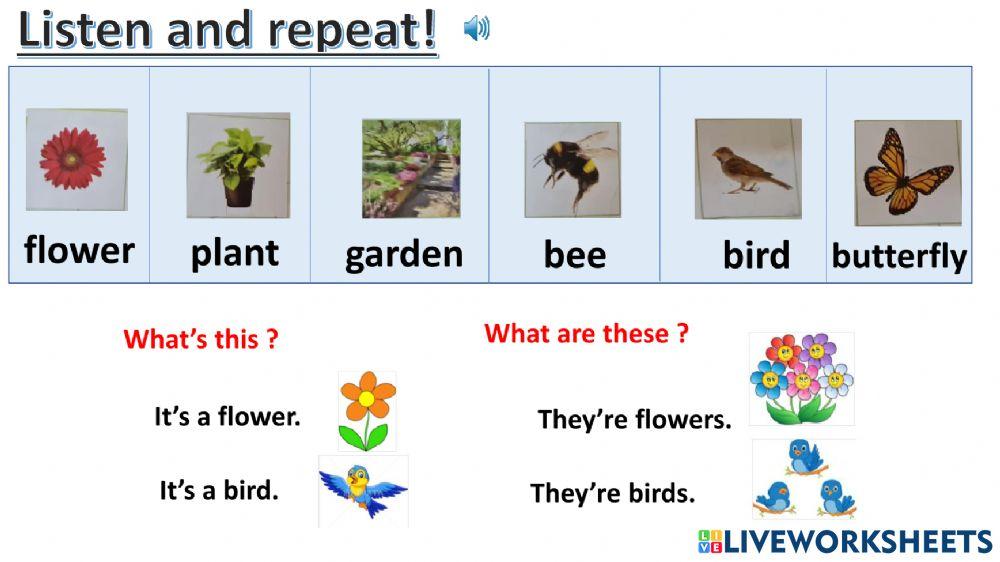 Connect plus kg2 term1 unit3 page40