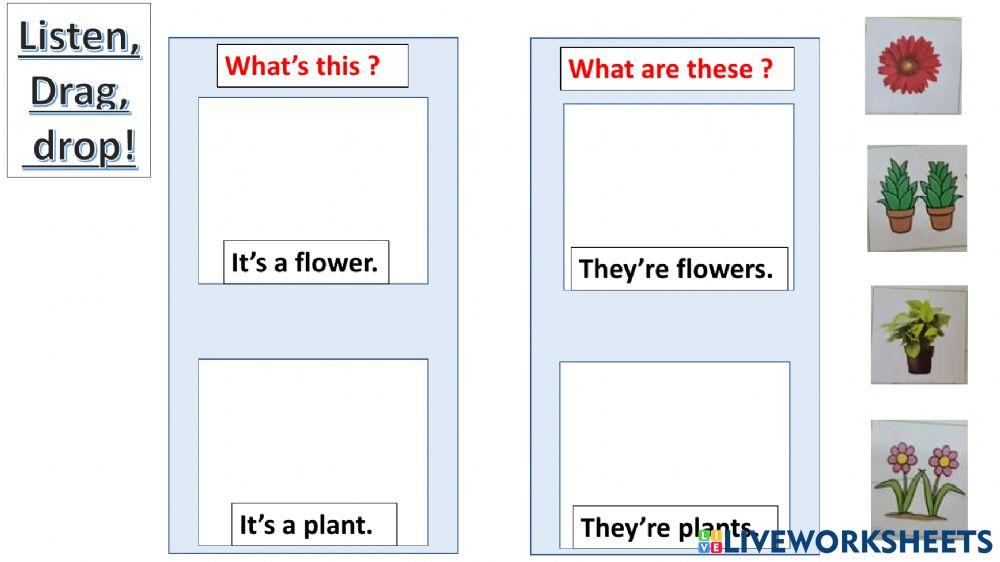 Connect plus kg2 term1 unit3 page40