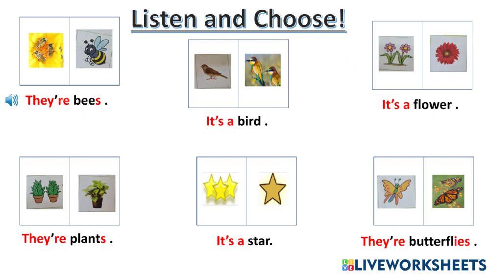 Connect plus kg2 term1 unit3 page40