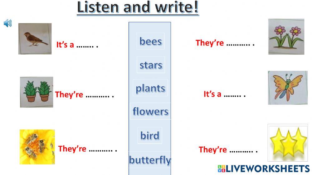 Connect plus kg2 term1 unit3 page40