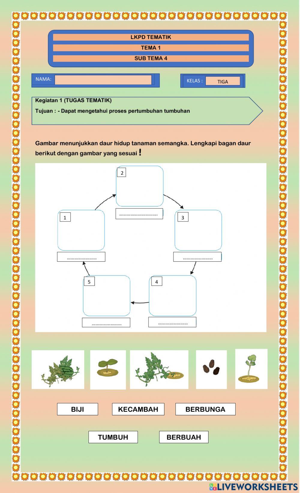 Perkembangbiakan tumbuhan
