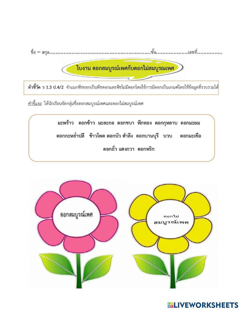 ดอกสมบูรณ์เพศ