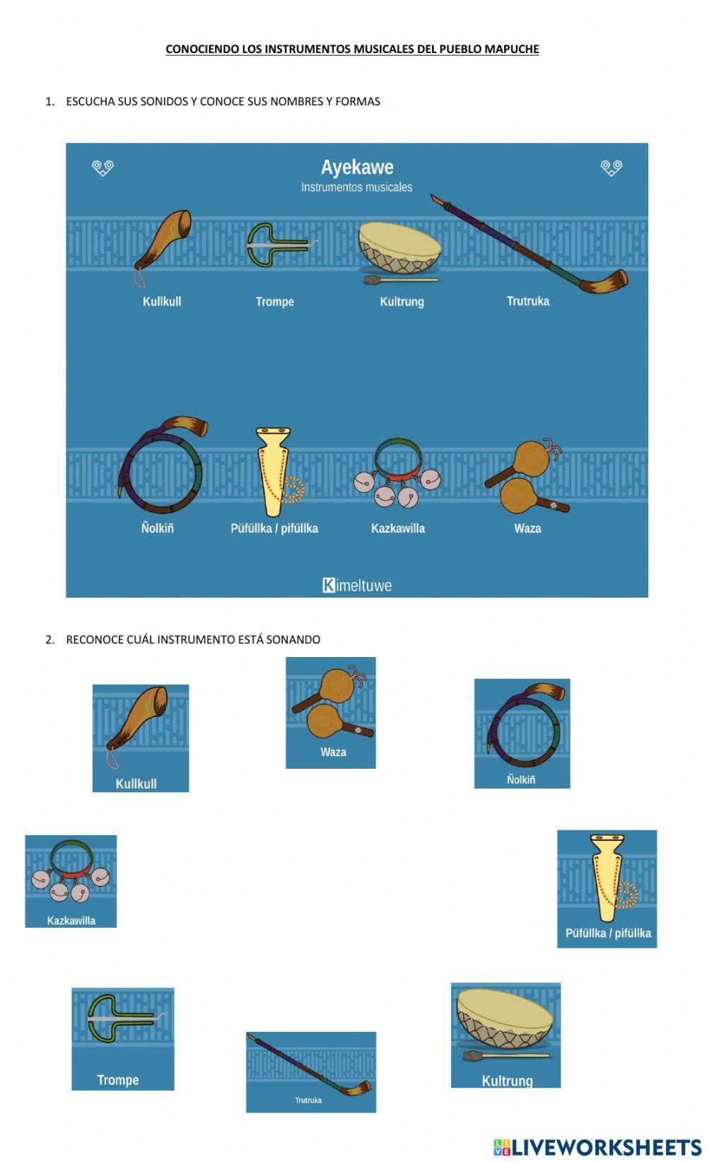 Instrumentos Mapuche