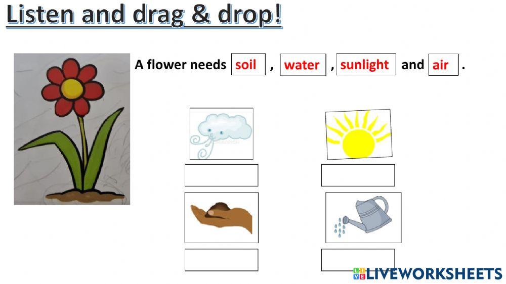 Connect plus kg2 term1 unit3 page41