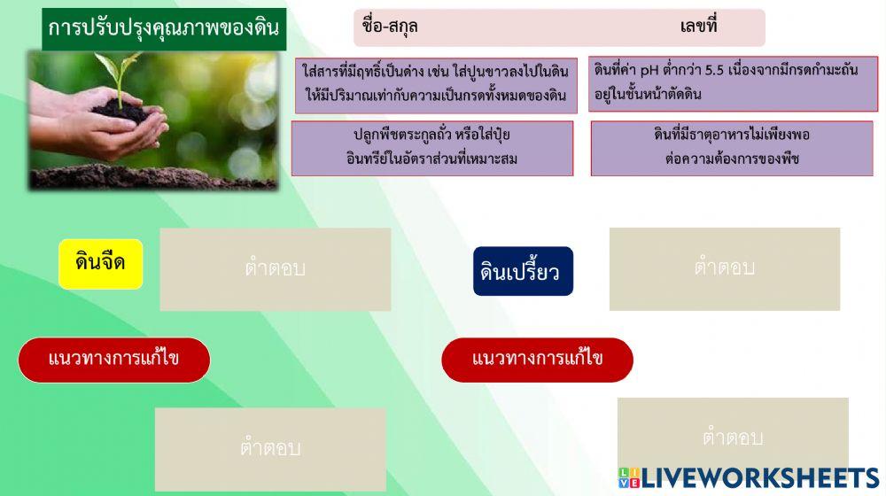 การปรับปรุงดิน