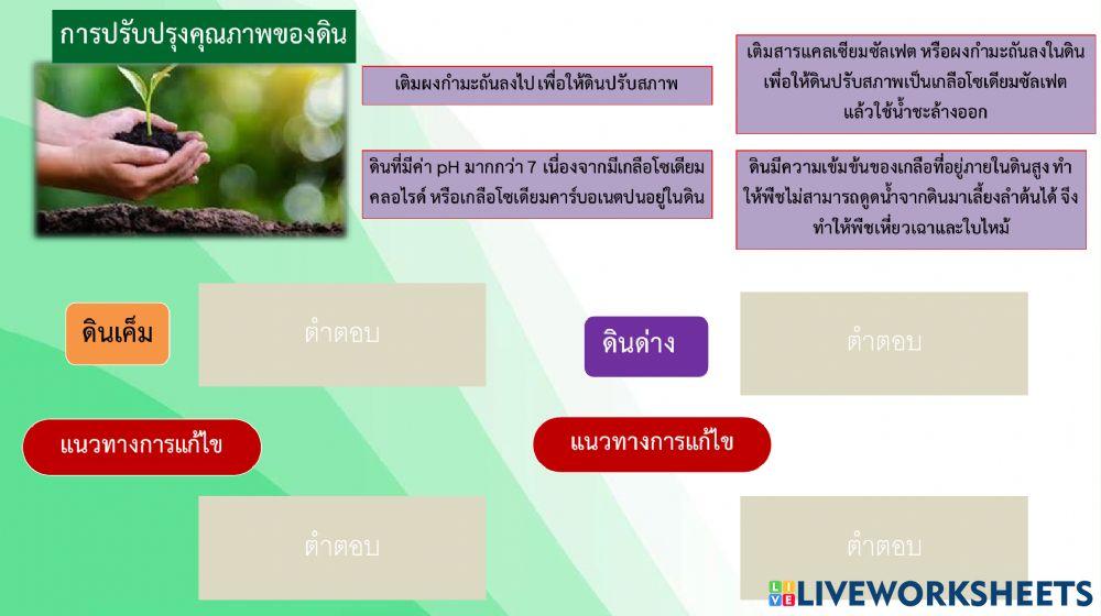 การปรับปรุงดิน