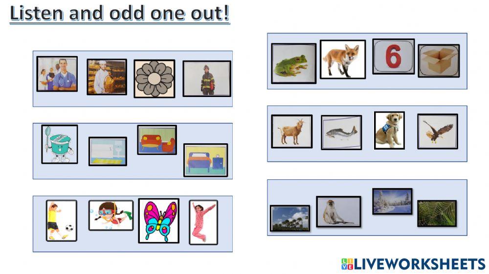 Connect plus kg2 term1 revision