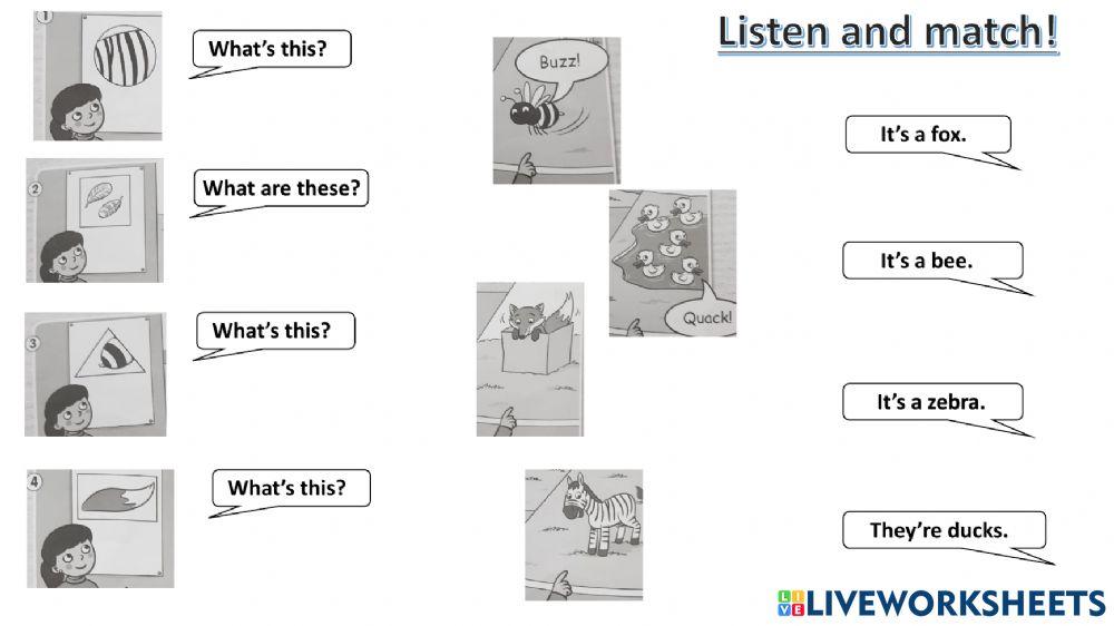 Connect plus kg2 term1 revision