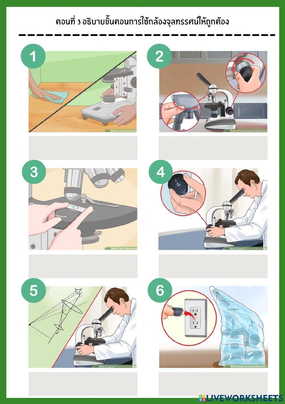 ใบงานกล้องจุลทรรศน์