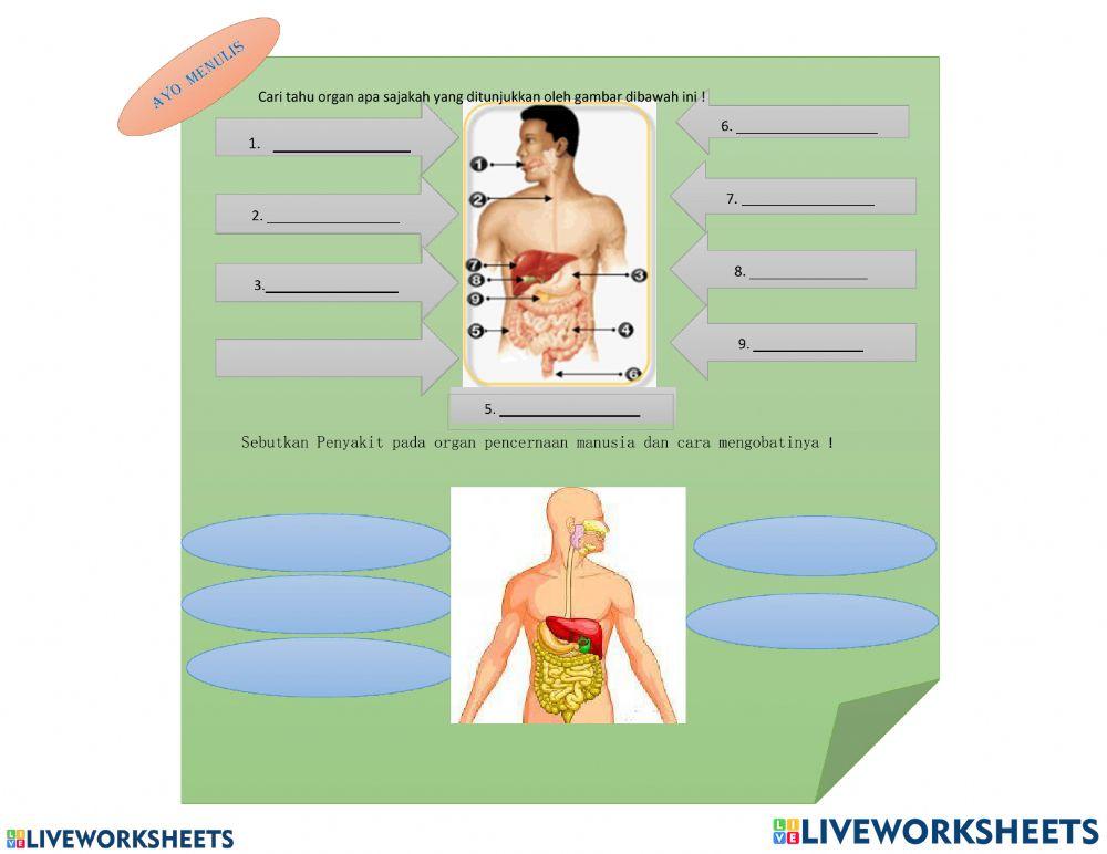 Lkpd kelas 5 tema 3 subtema 3