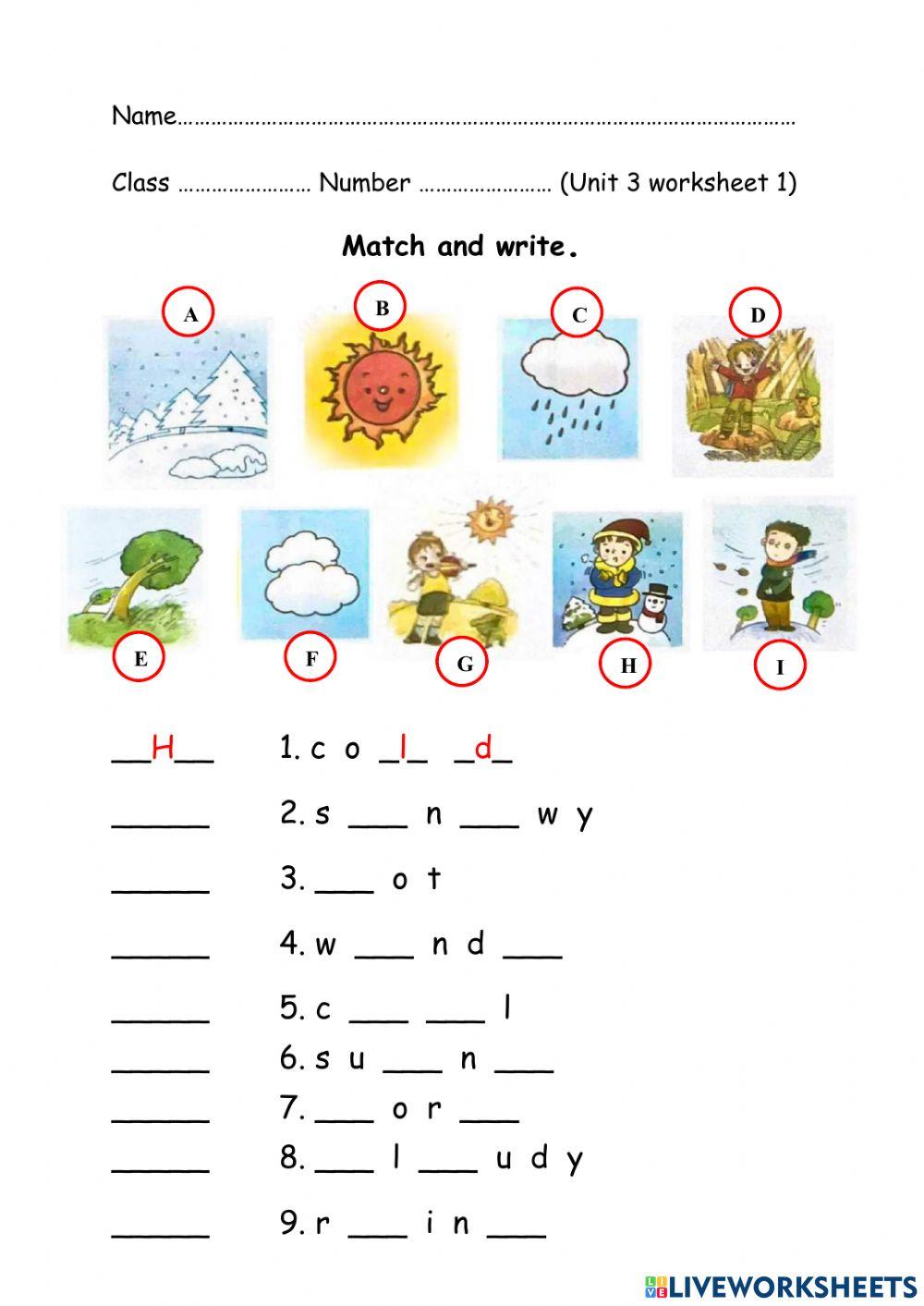 Worksheet 3.1